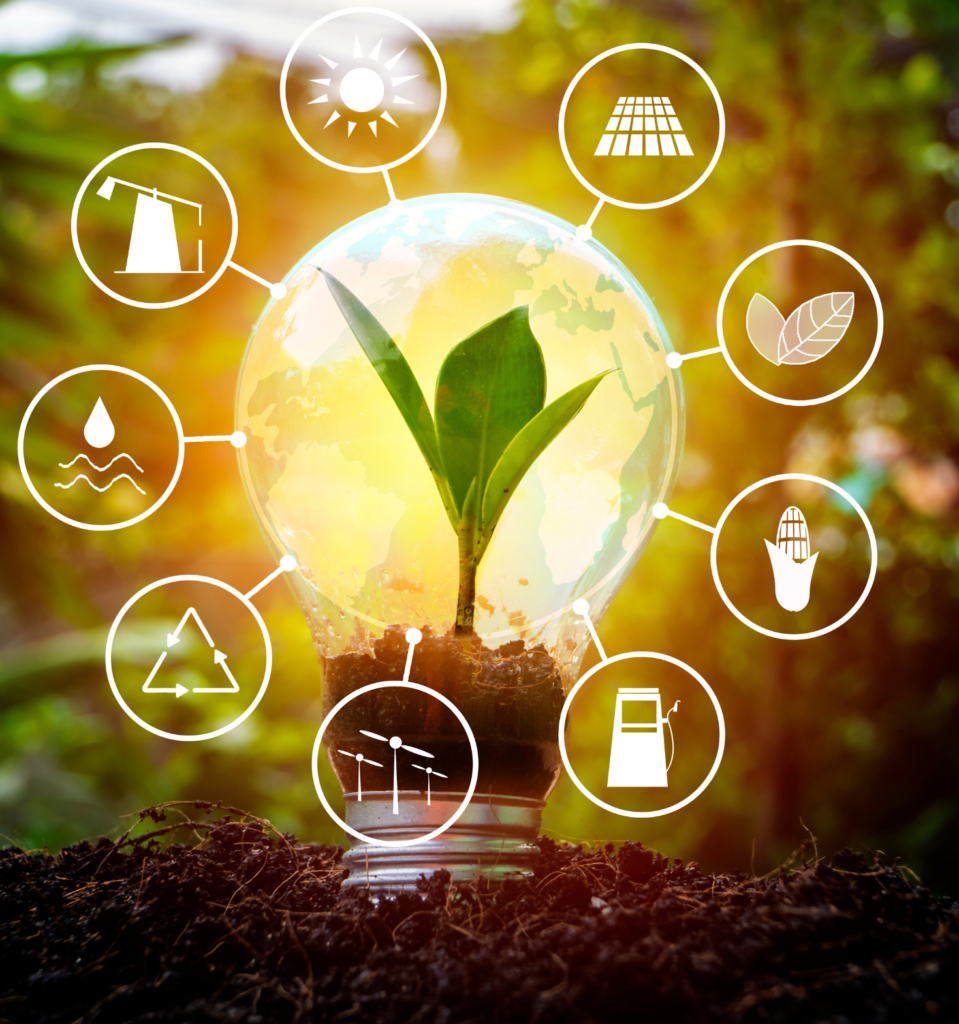 Carbon Capture for Net Zero – PLECO